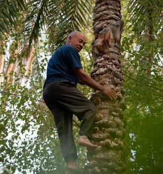 Eden Palm, Tozeur